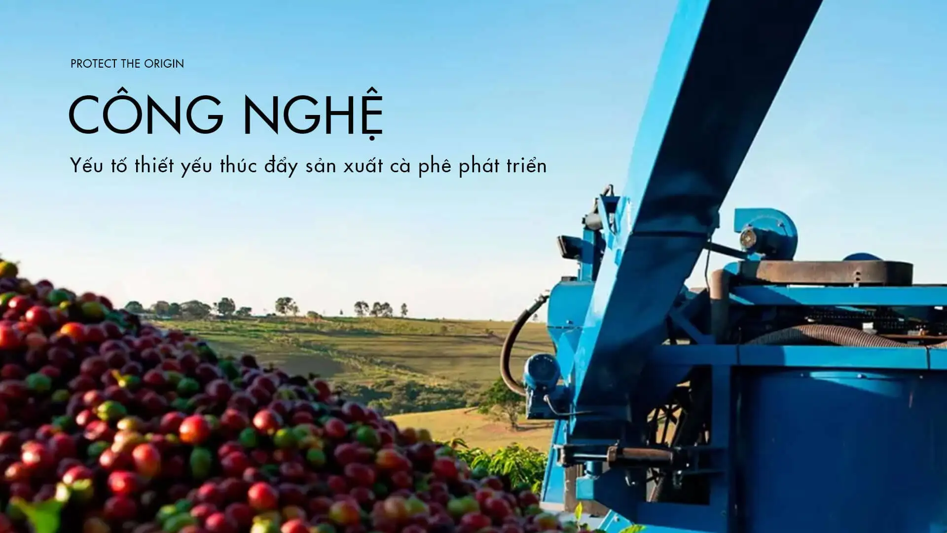 Tác động của công nghệ đến ngành cà phê 3 Tác động của công nghệ đến sản xuất cà phê